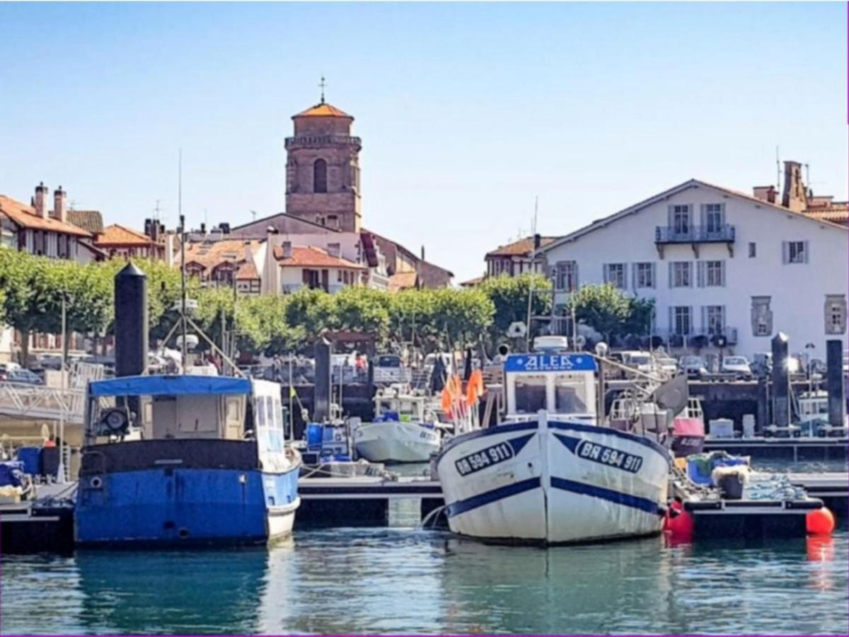 Grand Appartement 2 Chambres Avec Terrasse A Saint-Jean-De-Luz - Fr-1-4-667 외부 사진